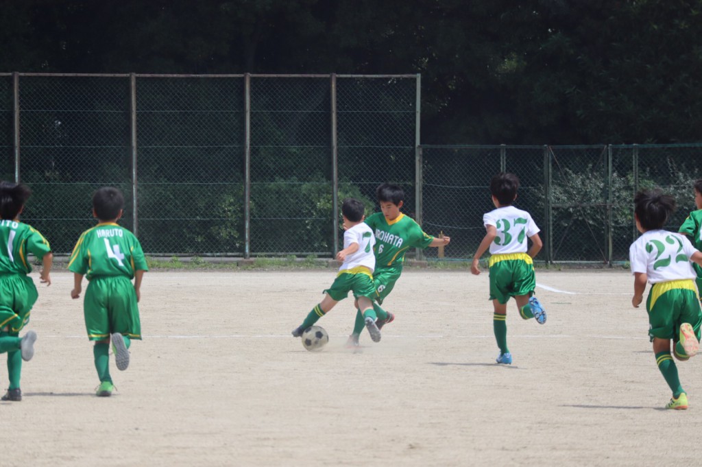 line_1037926361404586