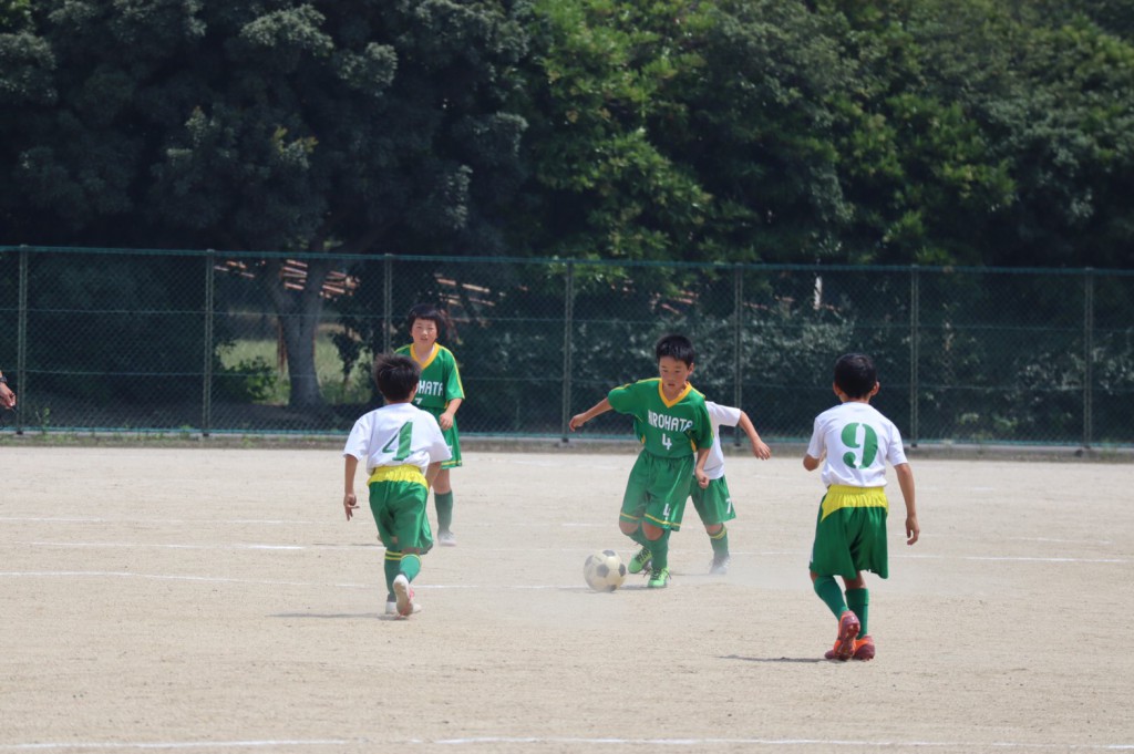 line_1037930771530045