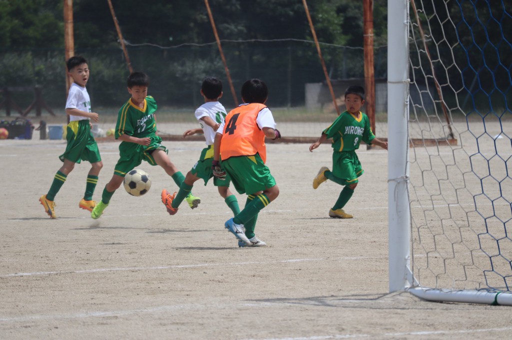 line_1037936694437810