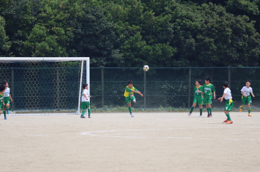 line_1037939660302000