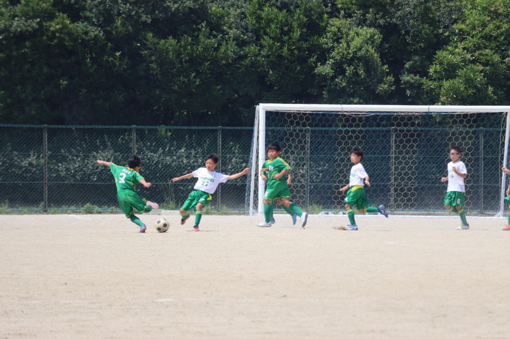 line_1037990353985464