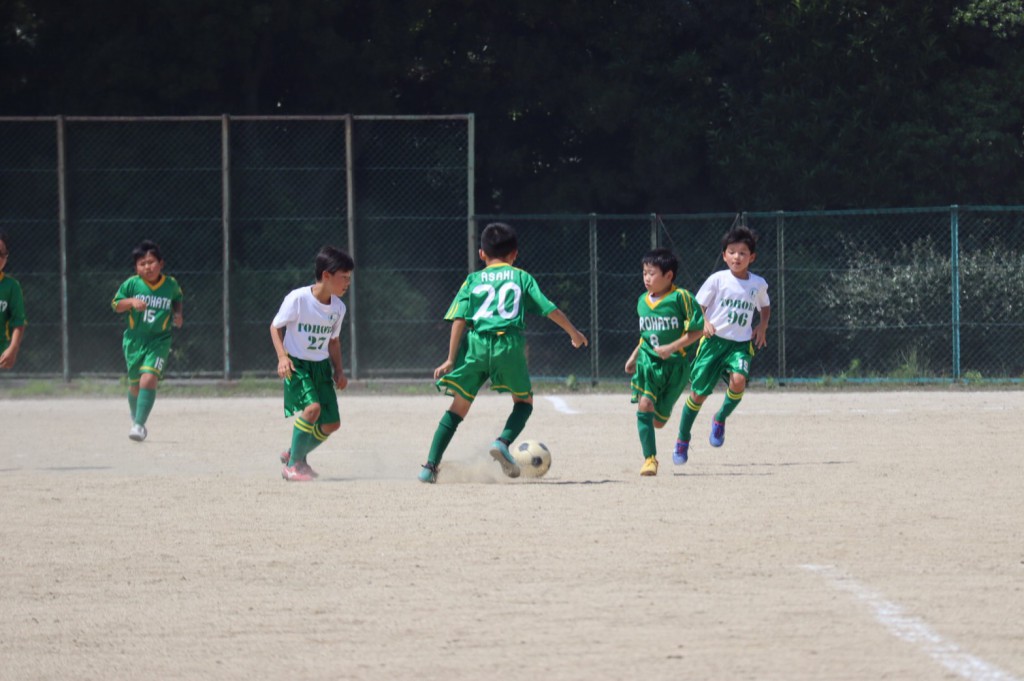 line_1037996211153959