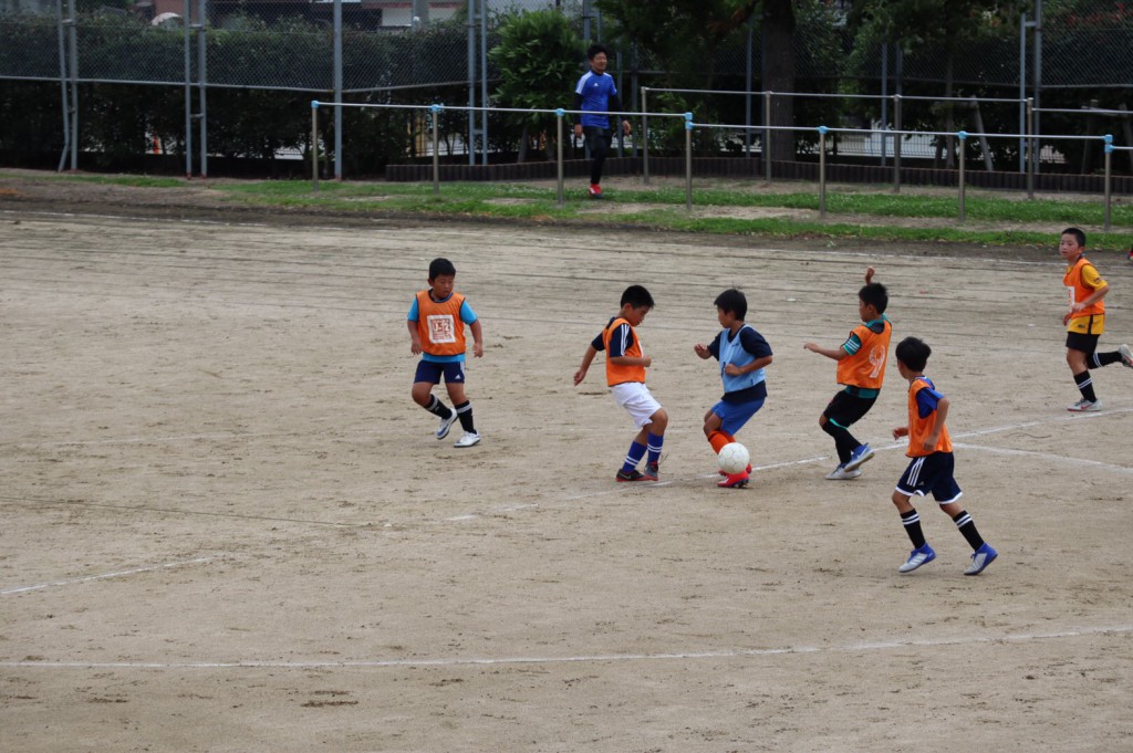 line_486208142164599