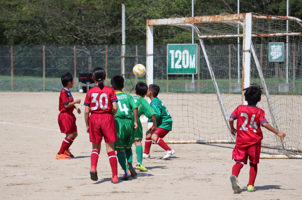 line_118576539005628