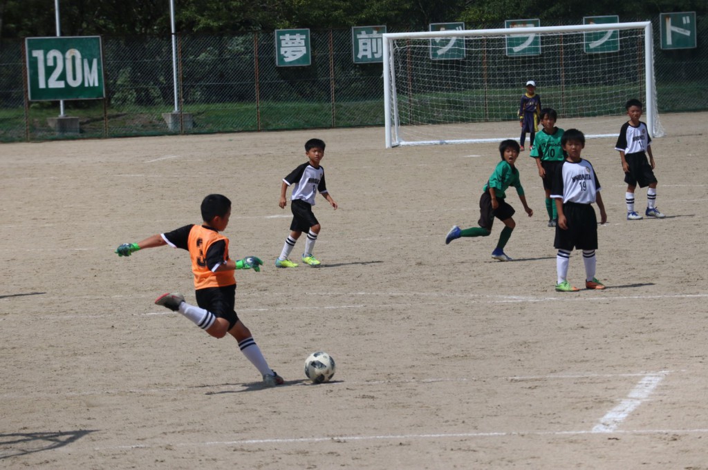 line_118773112875411